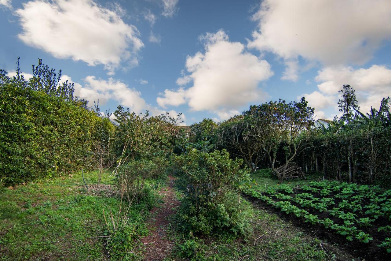 Casa Com Quinta Tradicional Villa Pico da Pedra Eksteriør billede